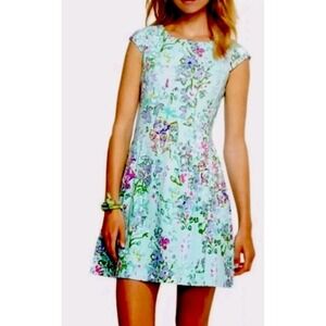 Lilly Pulitzer Briella Dress in Southern Charm Holy Grail Extra Large READ